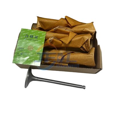 কেনা উচ্চ-গুণমান সম্পন্ন আসল ট্রাক যন্ত্রাংশ 4995554 4994143 ভালভ ইনটেক এবং এক্সহস্ট এয়ার ভালভ, Dongfeng 6W মডেলের জন্য উপযুক্ত B19033 আনুষাঙ্গিক অনলাইনে উৎপাদন